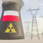 Kupimy elektrownię jądrową od Amerykanów? Sasin w USA: Bardzo duża szansa