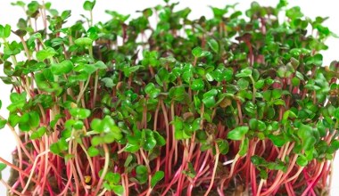 Kupisz w Lidlu i Biedronce. Jedź regularnie, a poprawisz zdrowie i odmłodzisz cerę