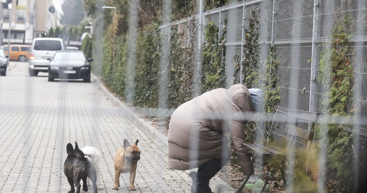 Kupy po Sisi i Lili sprząta już jednak inna kobieta /WOLF /Newspix