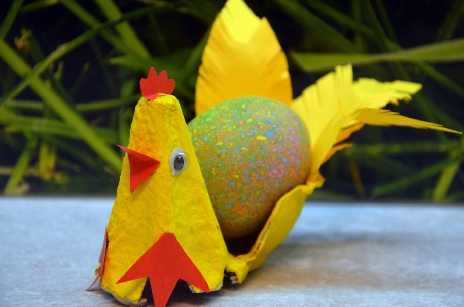 Kura z wytłoczki po jajkach /Marlena Chudzio /RMF FM