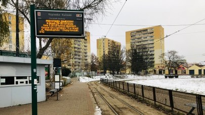 Kurczaki bez tramwajów