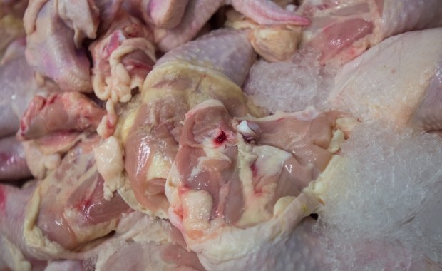 Kurczaki skażone fipronilem trafiły do Polski. Jest potwierdzenie