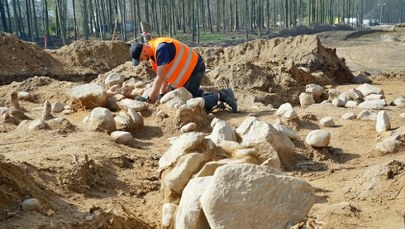 Kurhany i groby z epoki brązu na trasie obwodnicy. Archeologiczne odkrycia w Gdyni