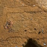 Kurhany sprzed 4500 lat na terenie Niemiec. Sensacyjne odkrycie archeologów