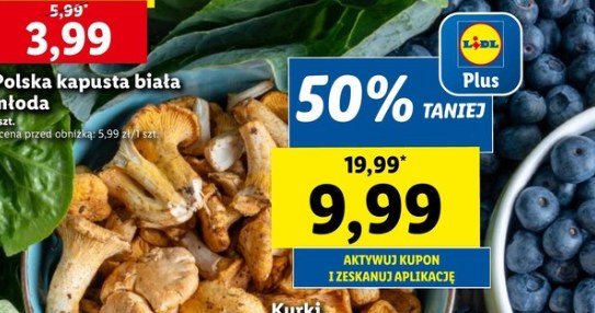 Kurki 50% taniej w Lidlu! /Lidl /INTERIA.PL