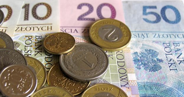 Kurs euro do złotego może do końca tygodnia utrzymywać się w okolicach 4,45 /&copy; Panthermedia