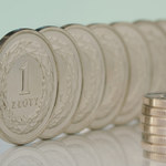 Kurs walut. Ile kosztują dolar, euro i frank w środę, 11 stycznia rano?