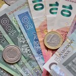 Kurs złotego (10.07). Ile trzeba płacić za euro, dolara i franka szwajcarskiego? 