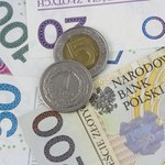 Kurs złotego (17 lipca). Ile kosztują euro, dolar i frank szwajcarski? 