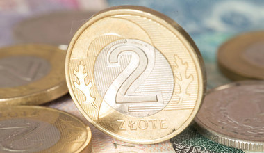 Kurs złotego (21.08.2025 r.). Dolar zyskuje, co z euro?