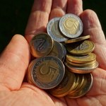 Kurs złotego (30.11.2023). Ile trzeba zapłacić za euro, dolara i franka szwajcarskiego?