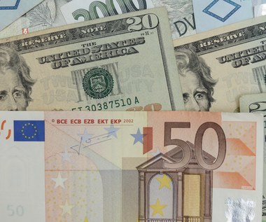 Kurs złotego. Czy dolar jeszcze potanieje, a euro pójdzie w górę?