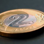 Kurs złotego. Ile kosztują dolar, euro i frank we wtorek 12 grudnia?
