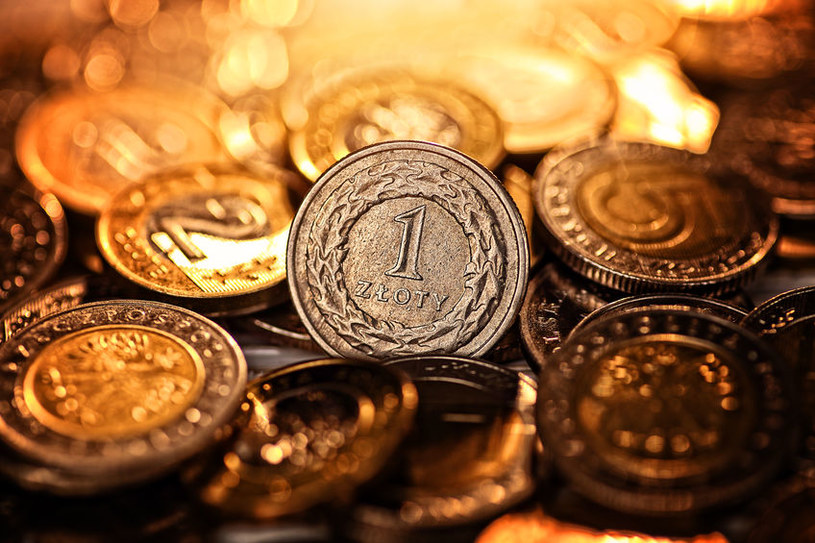 Kurs złotego wobec głównych walut - 19.12.2022 r. /123RF/PICSEL