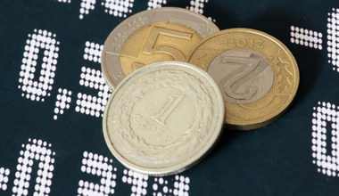 Kursy walut. Analiza Interii: Groźby weta na razie nie ciążą złotemu