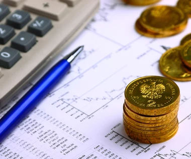 Kursy walut blisko wielotygodniowych dołków. Złoty trzyma fason, dolar i frank tanieją