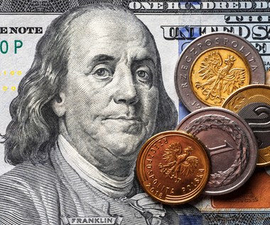 Kursy walut. Dlaczego dolar i złoty są ostatnio takie mocne? 
