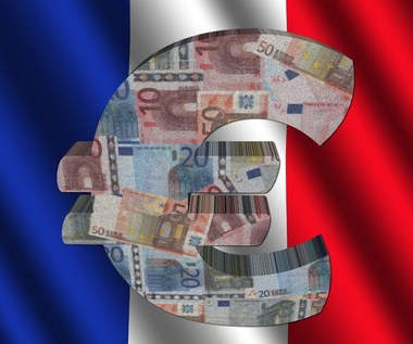 Kursy walut: Euro walczy o powrót do łask