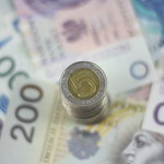 Kursy walut: Euro ze wzrostami, a dolar, funt i frank bez zmian