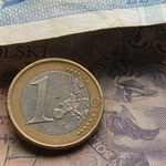 Kursy walut. Euro znów za 4,60 zł