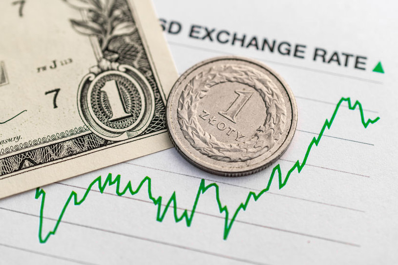 Kursy walut. Ile kosztują dolar, euro i frank w środę 30 lipca 2025 r.?