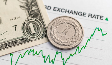 Kursy walut. Ile kosztują dolar, euro i frank w środę 30 lipca 2025 r.?