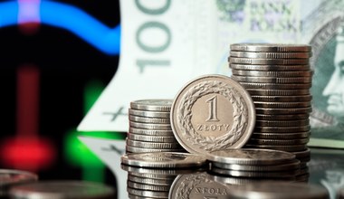 Kursy walut. Ile kosztują dolar, euro i frank w środę 30 października?