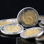 Kursy walut. Ile kosztują dolar, euro i frank w środę 5 czerwca?