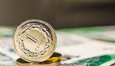 Kursy walut. Ile kosztują euro, dolar i frank w czwartek, 28 września?