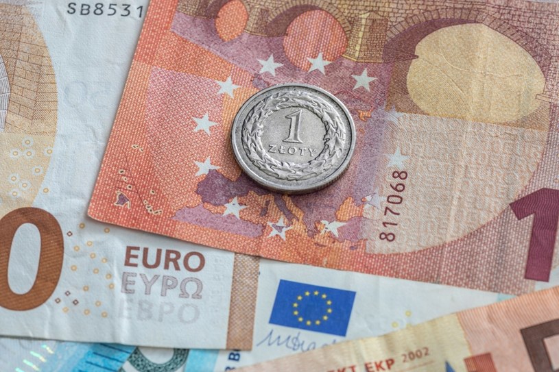 Kursy walut. Ile kosztują euro, dolar i frank w poniedziałek, 25 marca? /Arkadiusz Ziółek /East News