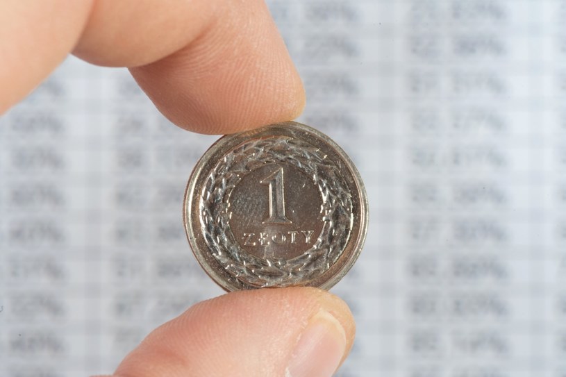 Kursy walut. Ile kosztują euro, dolar i frank w poniedziałek, 4 września? /123RF/PICSEL