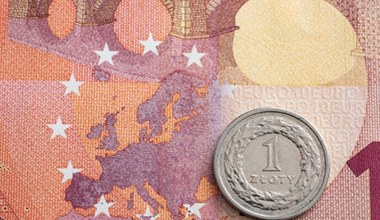 Kursy walut. Ile kosztują euro, dolar i frank we wtorek 20 maja?
