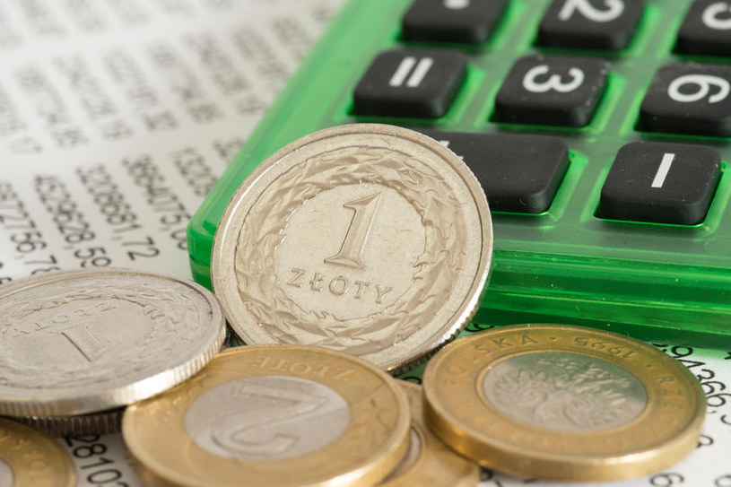 Kursy walut. Ile we wtorek 30 stycznia kosztują dolar, euro i frank?. Zdj. ilustracyjne /123RF/PICSEL