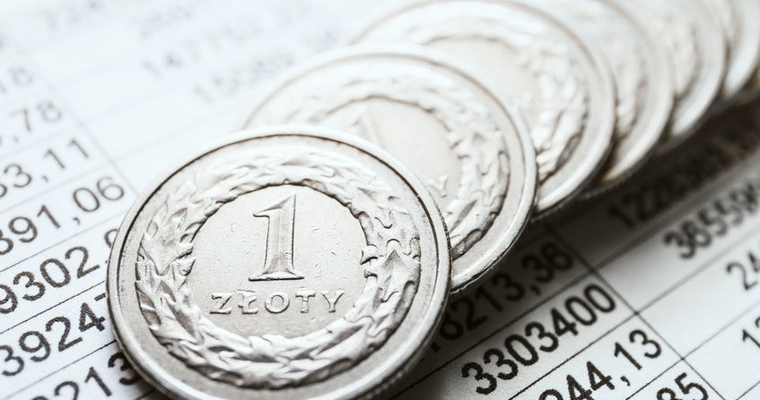 Kursy walut. Ile zapłacimy za dolara, euro i franka we wtorek 07.01.2025 r.? Zdj. ilustracyjne /123RF/PICSEL