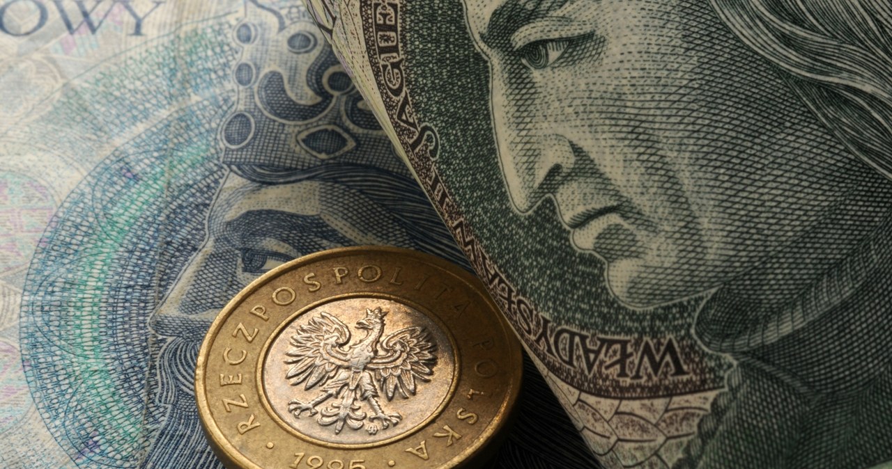 Kursy walut. Ile zapłacimy za dolara, euro i franka? Zdj. ilustracyjne /123RF/PICSEL