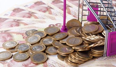 Kursy walut: Lira, forint i funt w centrum uwagi
