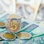 Kursy walut po decyzji RPP. Ile kosztują euro, dolar i frank?