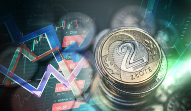 Kursy walut. Rynki w "trybie świątecznym" - złoty wciąż mocny do dolara