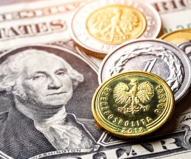 Kursy walut stabilne. Rynki czekają na dane z USA 