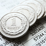 Kursy walut. Trudny tydzień dla złotego - PLN pozostaje pod dużą presją