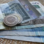 Kursy walut w piątek, 25 lipca. Kiepskie dane GUS nie odbiły się na złotym