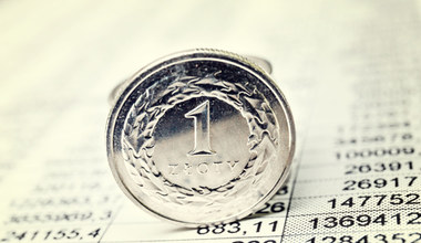 Kursy walut. W piątek (9 maja) złoty zyskuje do dolara, euro i franka