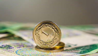 Kursy walut w poniedziałek. W nadchodzących dniach możliwe osłabienie złotego