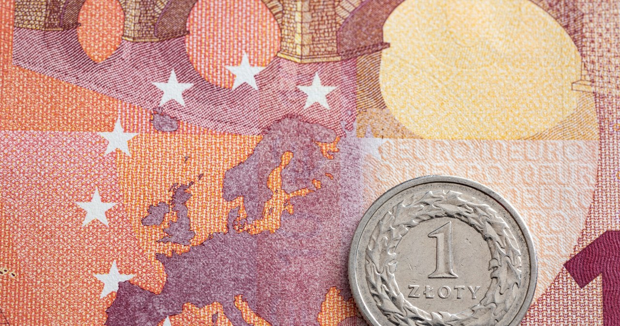 Kursy walut we wtorek 20 maja pokazują, że złoty odrabia straty związane z początkową negatywną reakcją na wyniki I tury wyborów prezydenckich /Arkadiusz Ziółek /Reporter