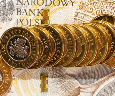 Kursy walut: Złoty będzie tracić na wartości?