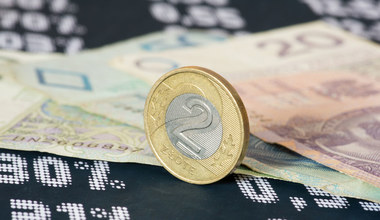 Kursy walut. Złoty nie słabnie, dolar w lekkim odwrocie