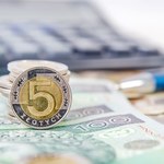 Kursy walut. Złoty nieco słabszy; dolar umocnił się do euro