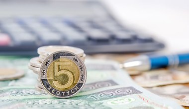 Kursy walut. Złoty nieco słabszy; dolar umocnił się do euro