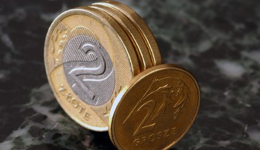 Kursy walut. Złoty pozostał stabilny na koniec tygodnia