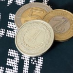 Kursy walut. Złoty stabilny, dolar wciąż tani